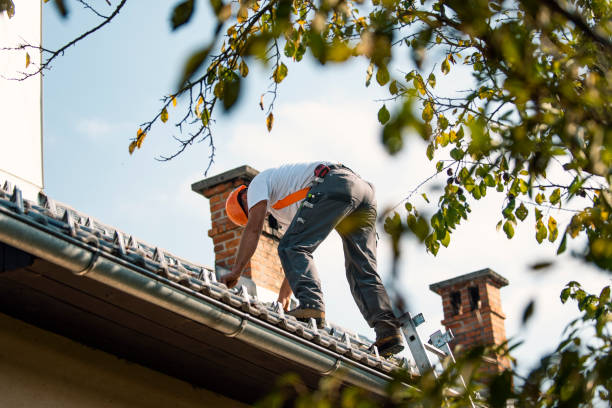 Best Emergency Roof Repair  in Bon Secour, AL