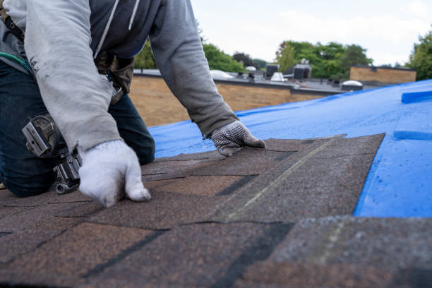Best Metal Roofing Contractor  in Bon Secour, AL